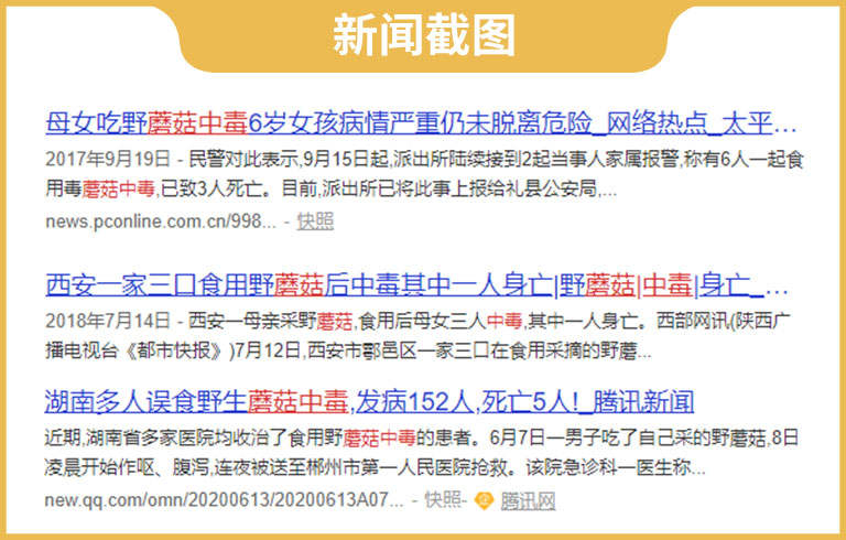 平均每年有1000多人为此中毒，为啥云南人还是如此爱吃野生菌？