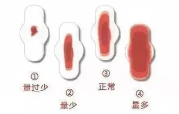 640.webp (24).jpg