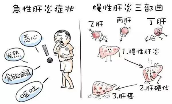 非病毒性肝炎不具备传染性,只要认真配合治疗,再加之健康的生活习惯就