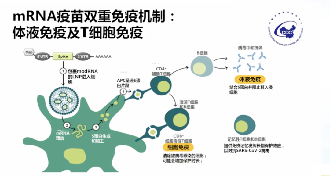 mRNA技术领域再现大宗交易，国内创新药企入局新冠疫苗研发