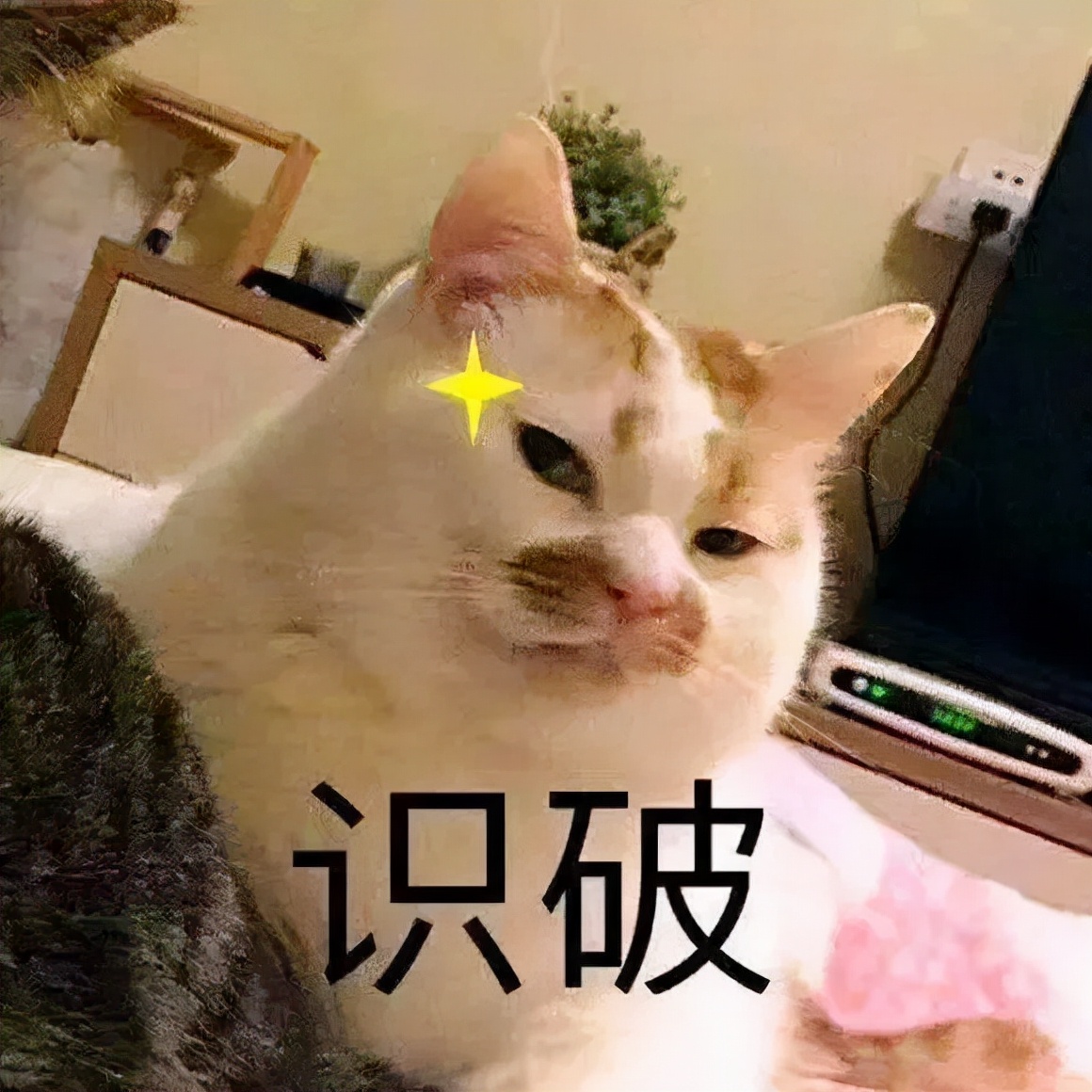 痘痘反复发作，居然和这种妇科疾病相关