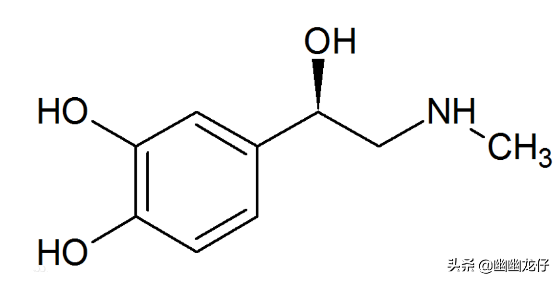 大脑的秘密，时刻都在发生着化学反应，“换头”谜题又当如何解？