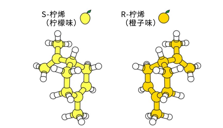 的有机分子,然后开始测试它们驱动狄尔斯–阿尔德反应(diels–alder