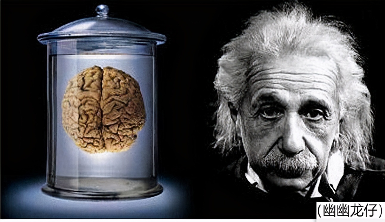 大脑奥秘，左撇子的艺术右脑更发达？爱因斯坦脑切片研究成果公布