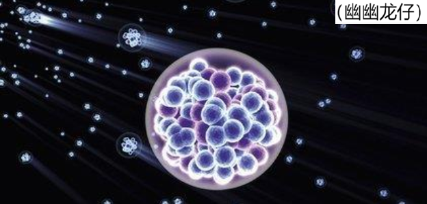 X17粒子攜帶暗物質(zhì)的第五種力？探訪強力、弱力主宰的量子世界
