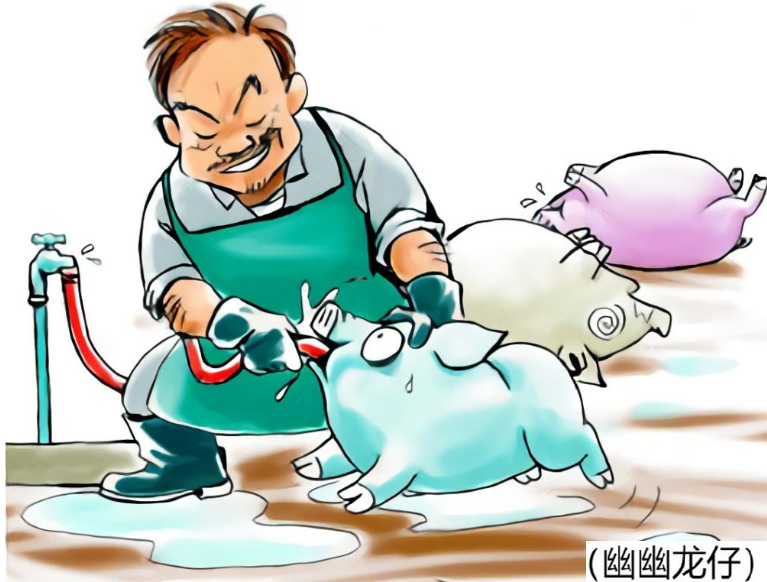 奇談怪論 | 親歷：吃的豬肉發(fā)出刺鼻尿騷味！隱射出知識盲區(qū)