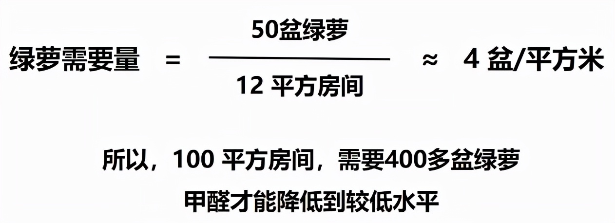 绿萝除醛，到底靠不靠谱？怒买50盆测试，结果有些颠覆