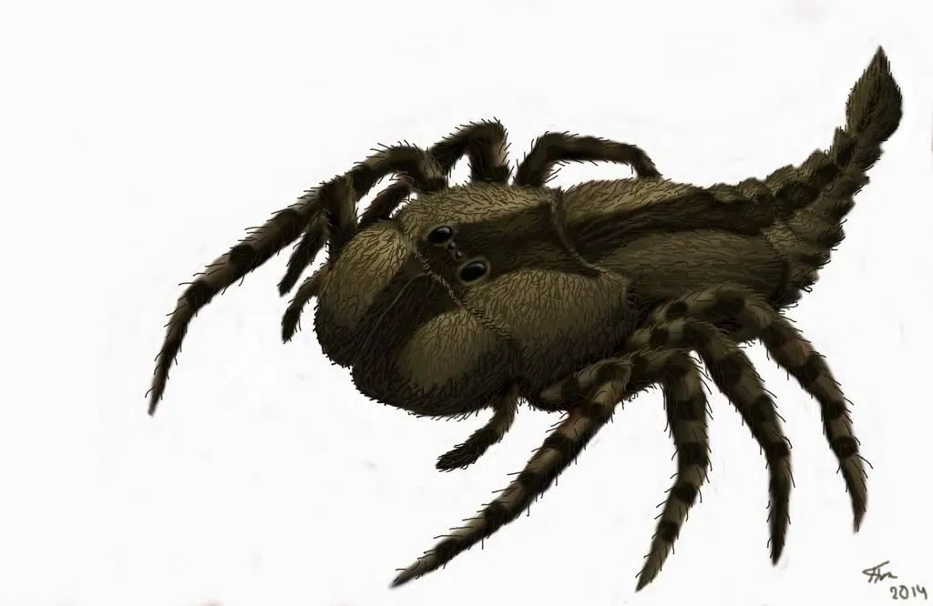 其他大型昆虫如普莫诺蝎,蛛鲎等节肢动物都可以长到现代同类的十倍