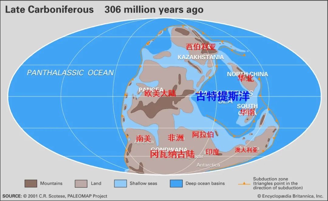 宾夕法尼亚亚纪全球古地理格局(图源见标注)森林的崩溃石炭纪的生态