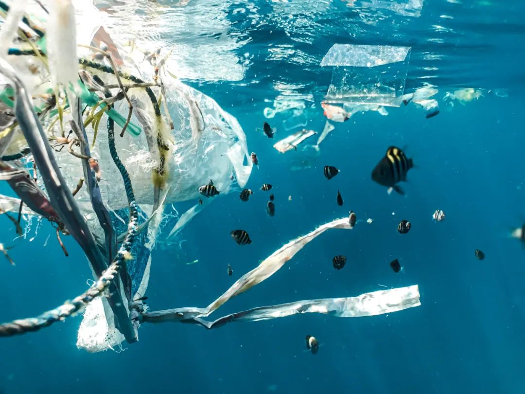 环球科学要闻 | 联合国最新报告：海洋垃圾中有85%是塑料