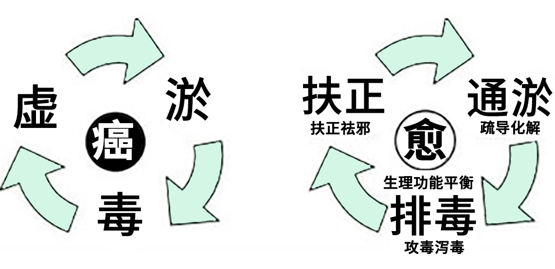 消灭不了体内的癌细胞，如何做到带瘤生存，一文浅显解答，请收藏