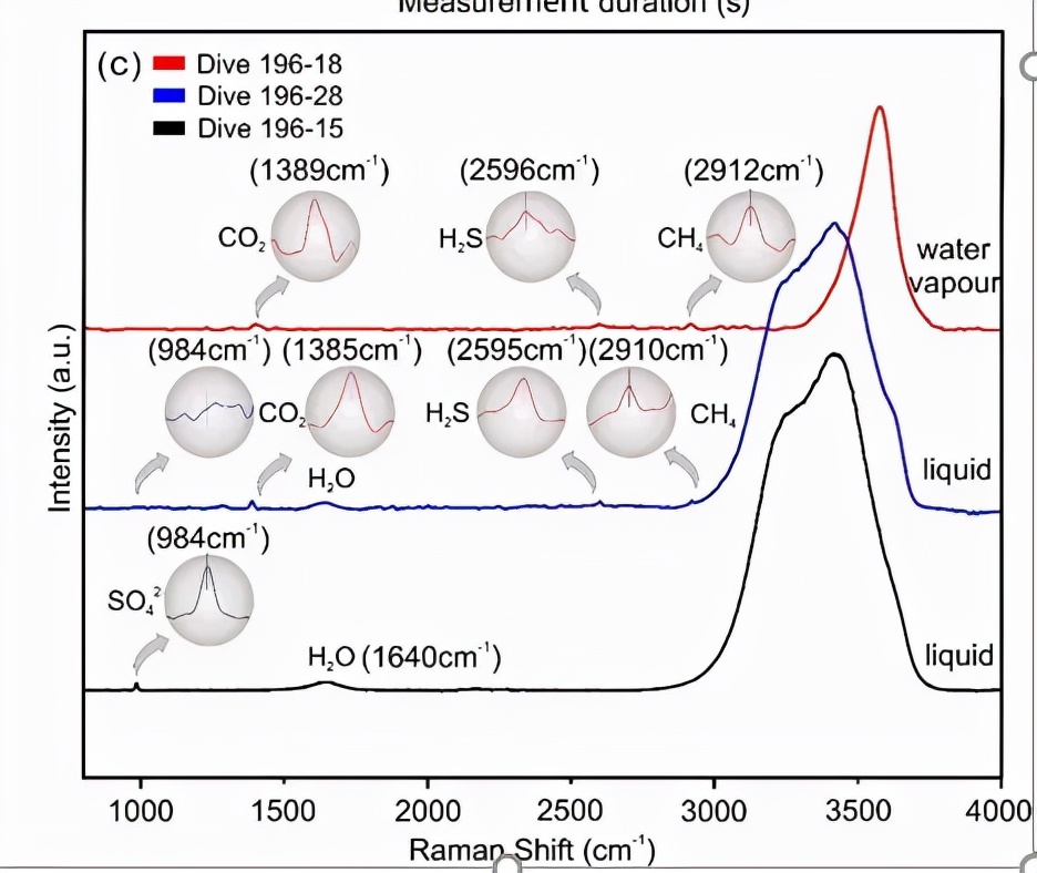 研究人员通过我国自主研发的深海激光拉曼光谱原位探测系统采集到多条