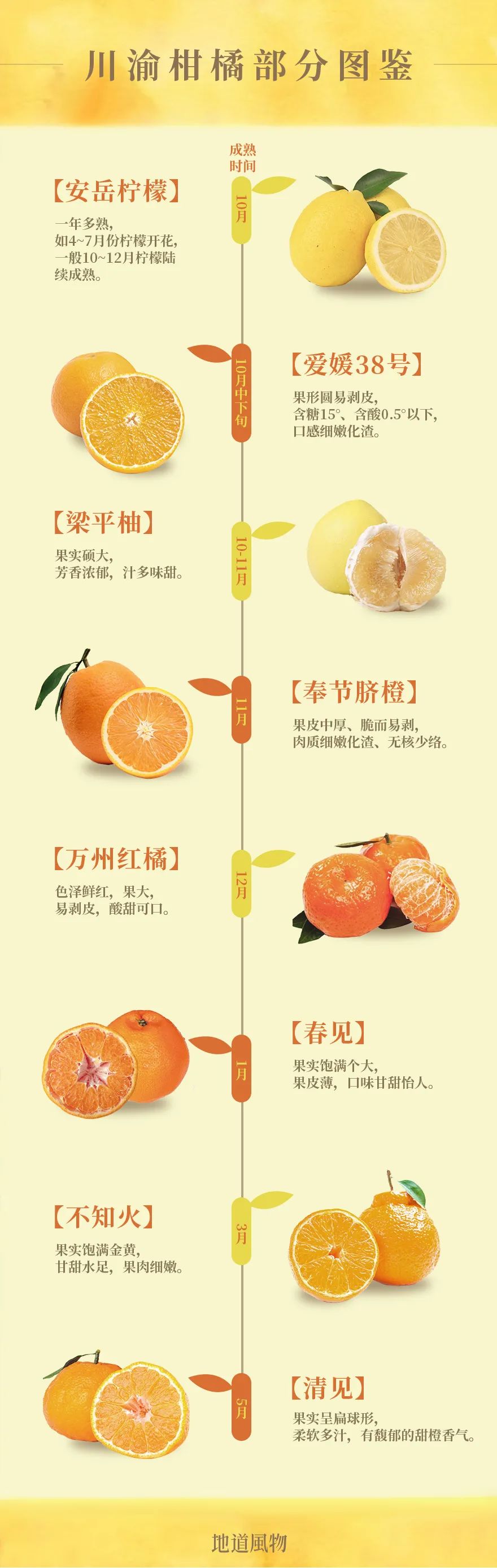 四川和重庆，到底哪里的柑橘更好吃？