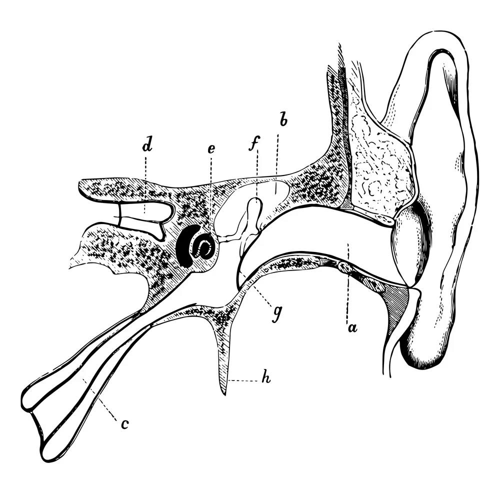 4ac7e5.