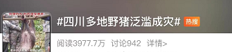 泛滥成灾、毁田伤人！全国多地下发”通缉令”…