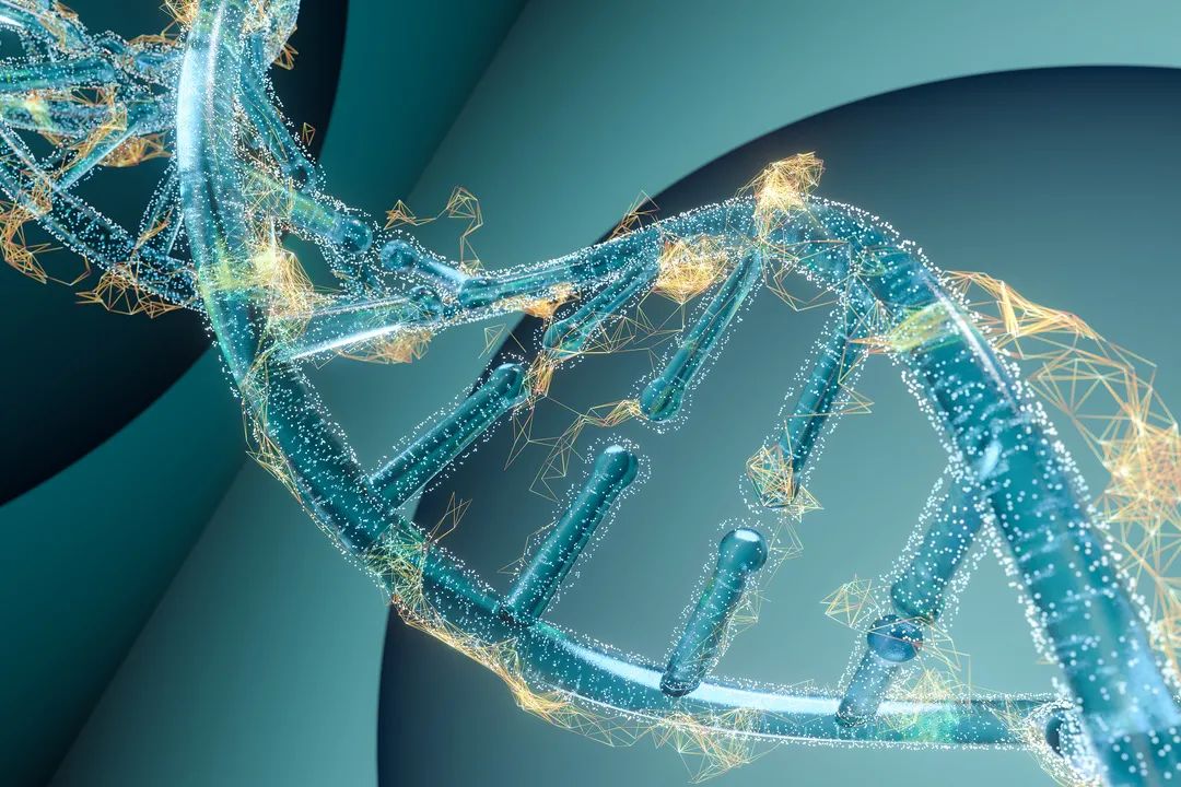 你身体里藏有多少“垃圾DNA”？它们的任务很神秘