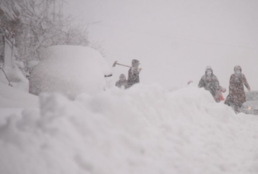 灵魂发问：如何才能下场痛快的雪？