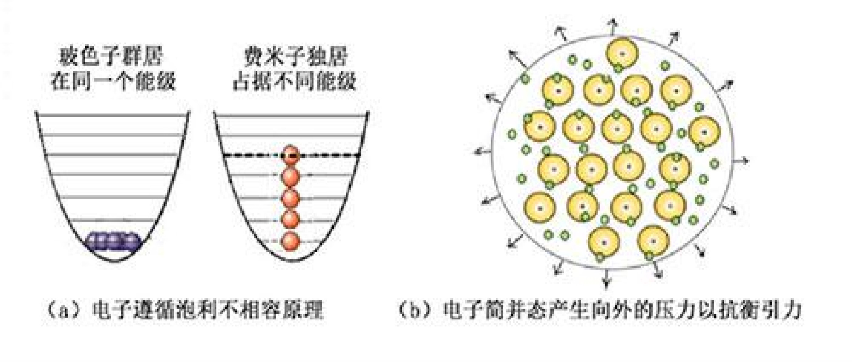 泡利不相容原理图片