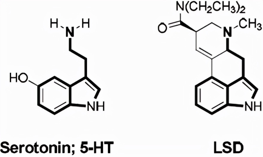 致幻劑：精神疾病治療的新希望？