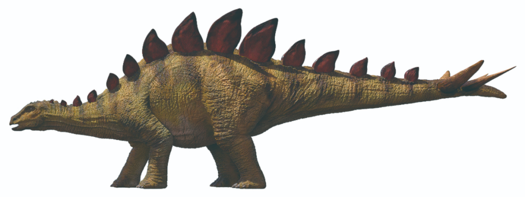 最古老"明星恐龙"现身重庆_粉象生活怎么赚钱 ( 粉象生活怎么什么最