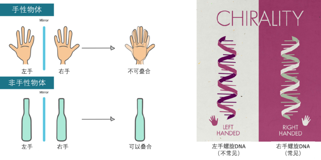 明亮的什么是手性分子的插图