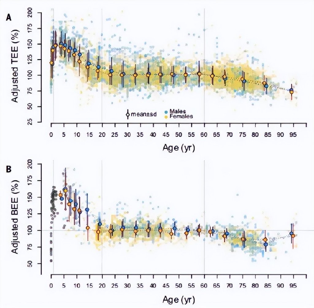 燃燒我的卡路裏：為(wei) 什麽(me) 每天運動，還瘦不下來？