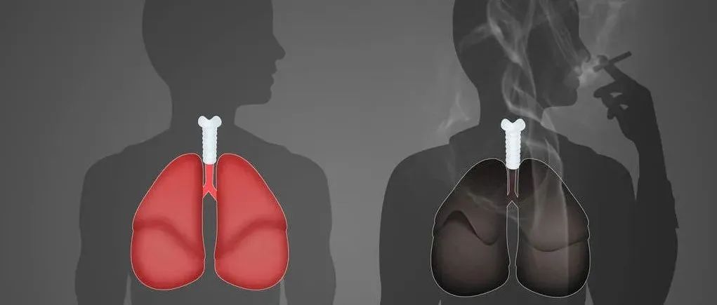 为什么有人吸一辈子烟也不得肺癌？新研究揭晓真相 