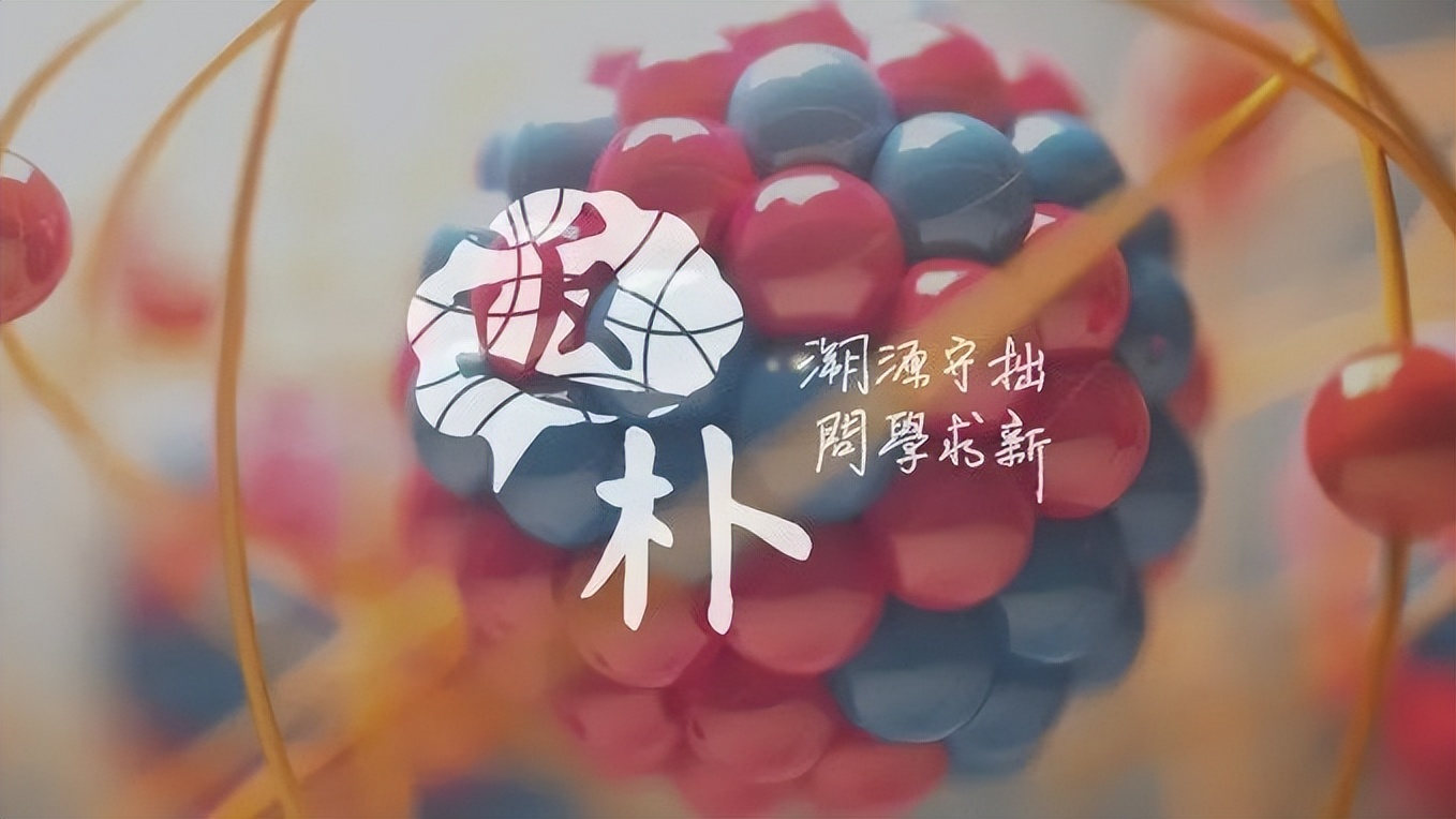 标准模型的危机：物理学家重新思考自然本质