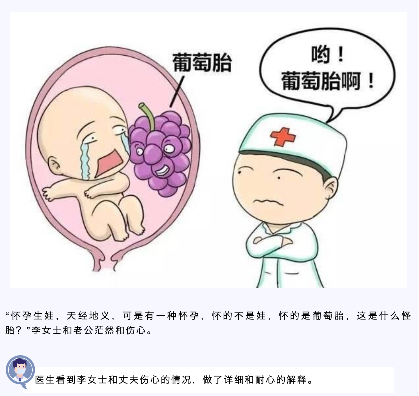 我怀的是一串葡萄？（一）