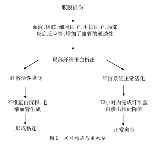 术后肠粘连——什么，肠子都粘到一起了？