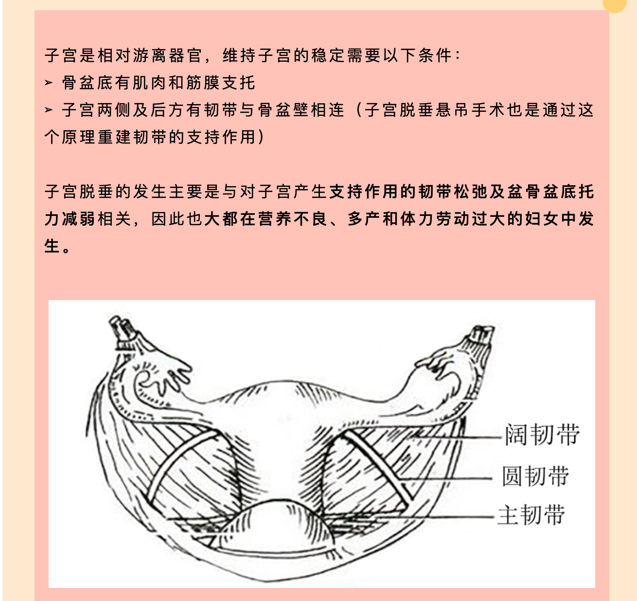 產(chǎn)后小腹總有下墜感，要警惕子宮脫垂啦