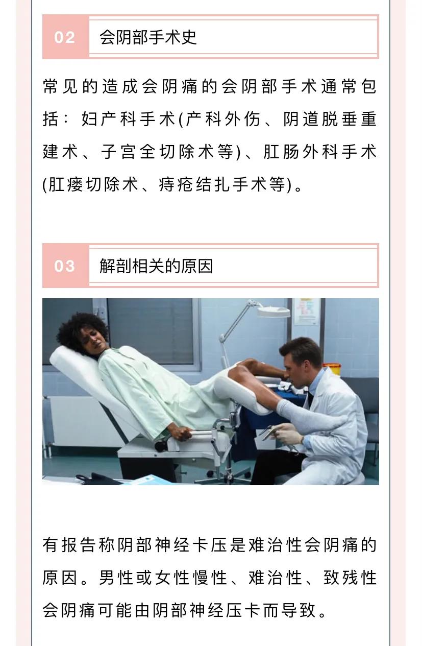 常見疼痛之會陰痛