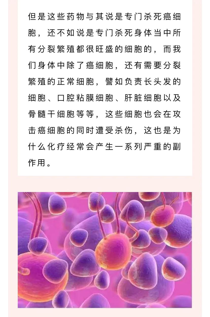 战胜乳腺癌的希望之光