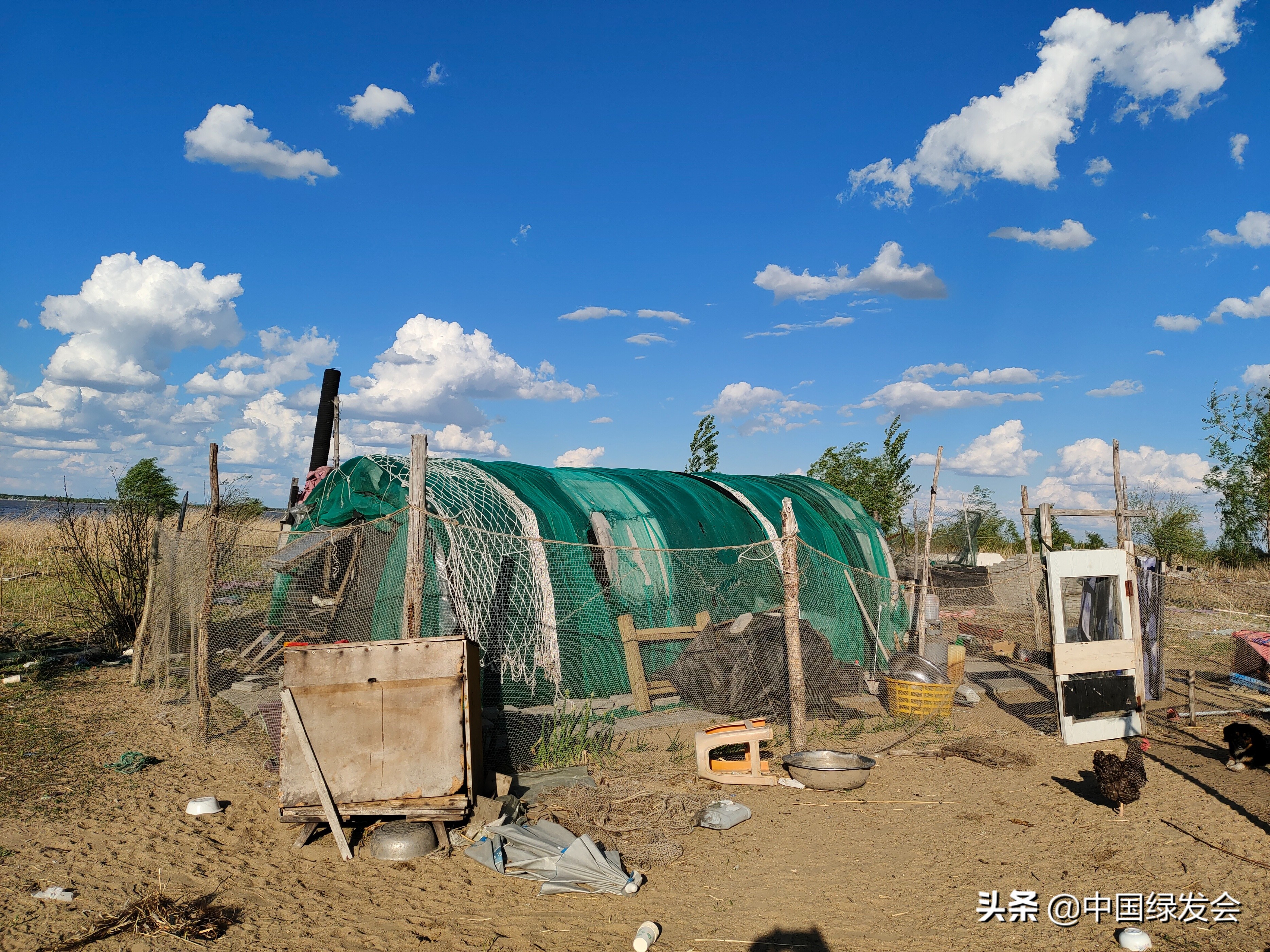 湿地保护法实施在即！绿会志愿者与哈尔滨新区执法总队联合巡查