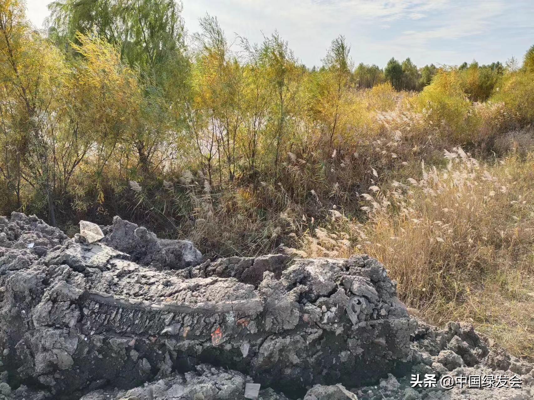 《湿地保护法》保驾护航，维护松花江生物多样性 | 绿会保护地