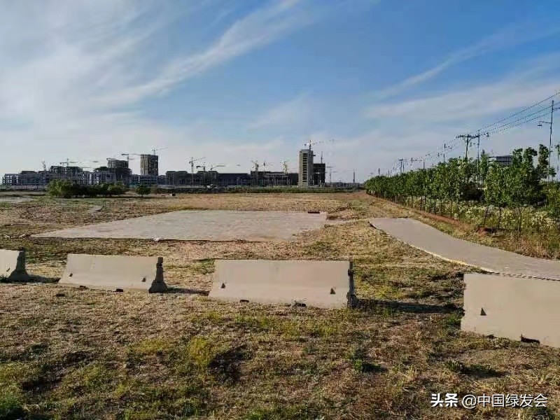 《湿地保护法》保驾护航，维护松花江生物多样性 | 绿会保护地