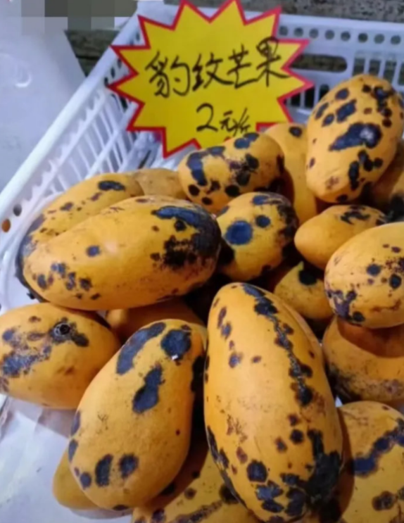 生活科普：“豹纹芒果”是甚么鬼？能吃吗？能卖吗？