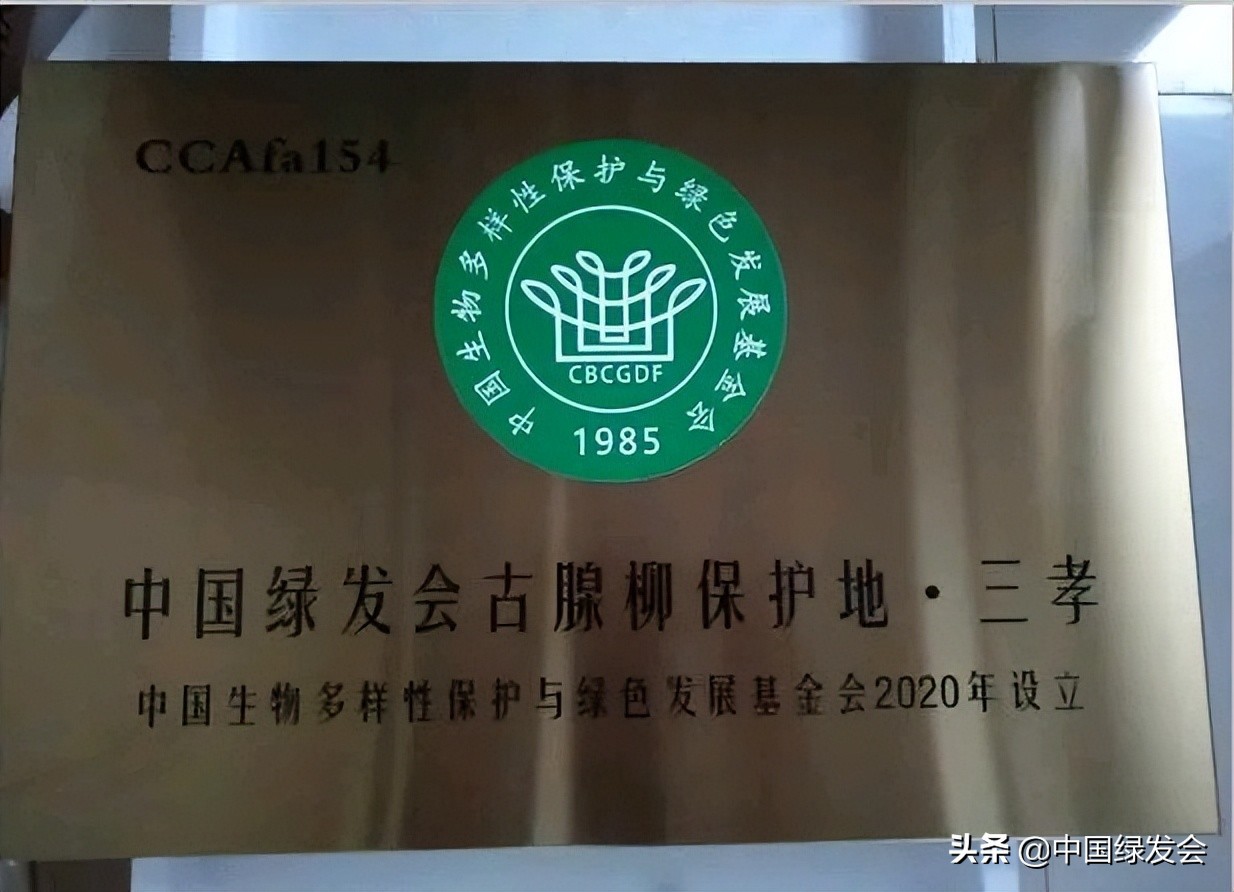 “古腺柳保护地·三孝”更名为“古腺柳保护地·林州”|绿会保护地