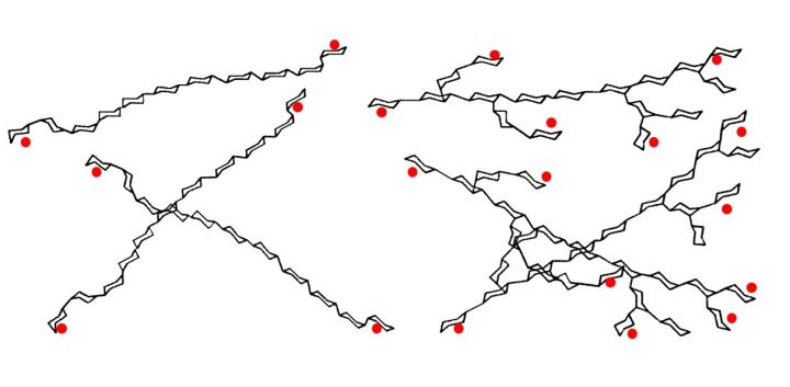 壽司不是糯米，為(wei) 什麽(me) 冷吃也不夾生？