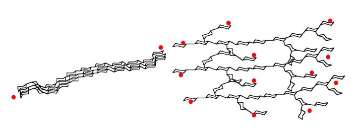 壽司不是糯米，為(wei) 什麽(me) 冷吃也不夾生？