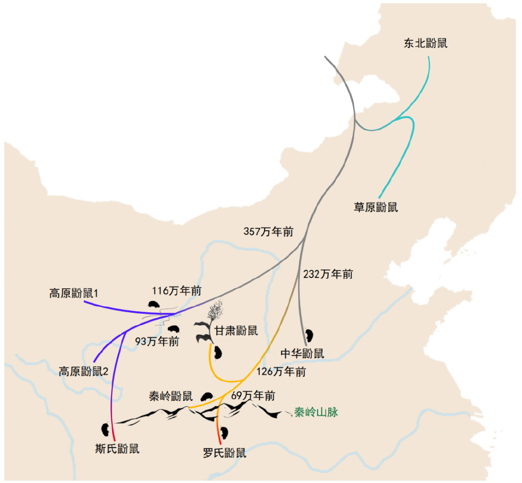 天下鼠事：一部史詩級的鼢鼠分家史