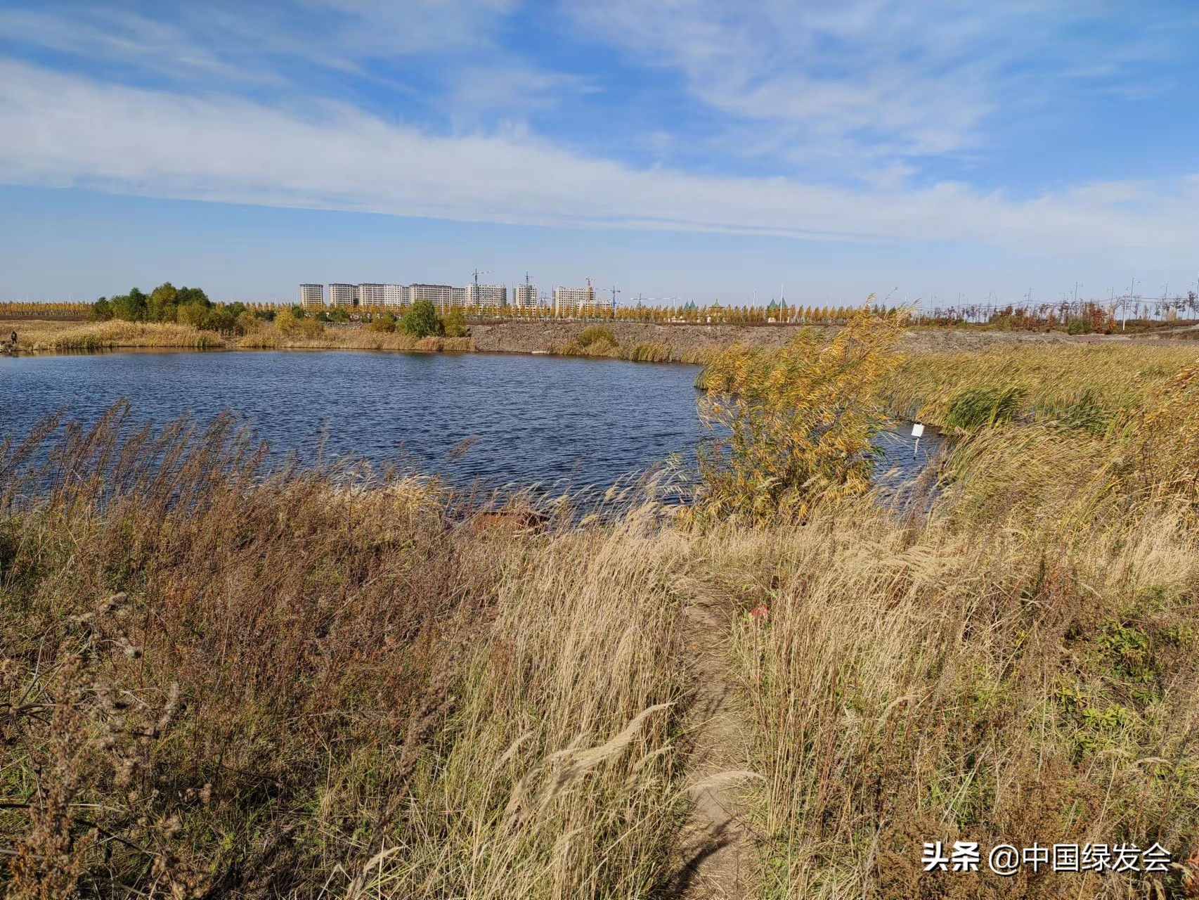 学习湿地保护法，守护好一方水土｜绿地保护地