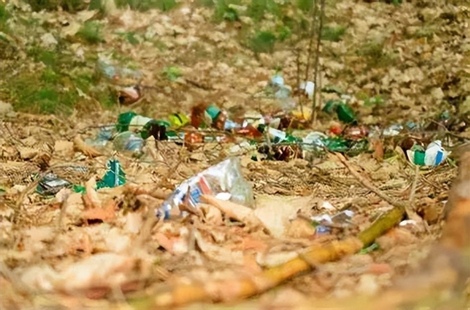塑料污染已成流行病，迷信家问计陆地微生物｜世界陆地日