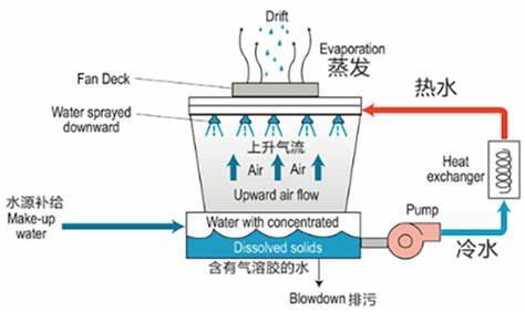 查看源图像