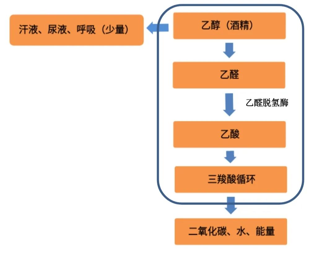 女子购买头孢、啤酒欲轻生，服用这些药物时千万不要饮酒！