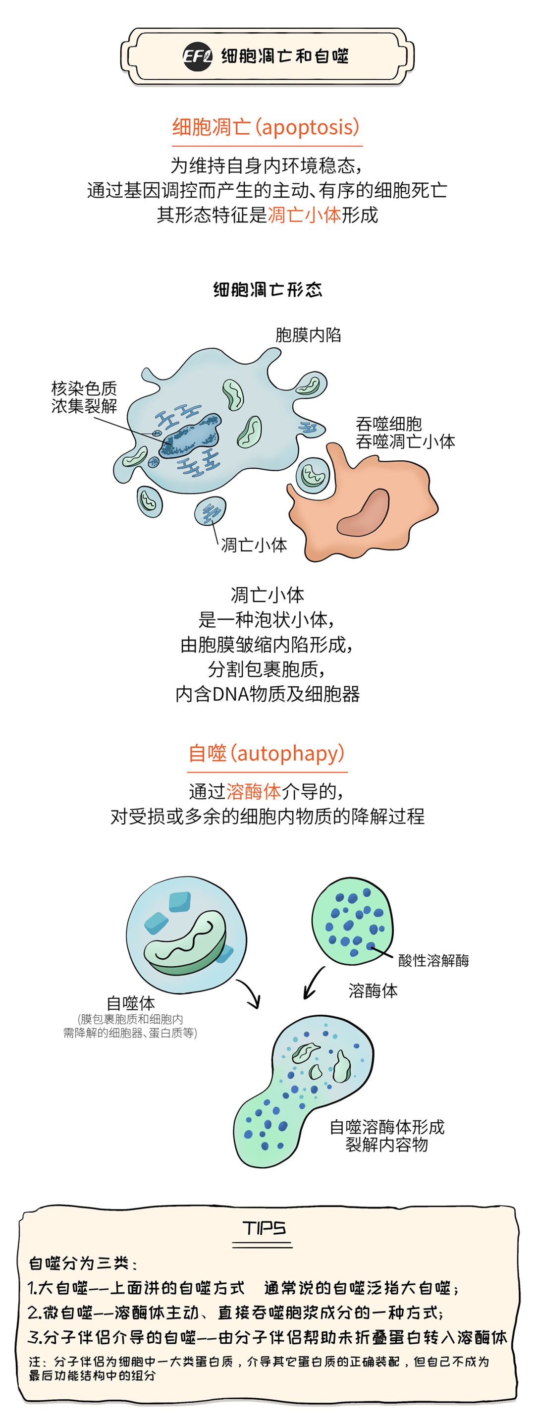 3e304a02f8577b6755df5c4acb23acdf.png