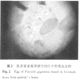 fc75d7.