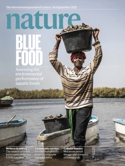 自然科普：多吃海鲜等“蓝色食物”，竟能处置人类粮食危机？