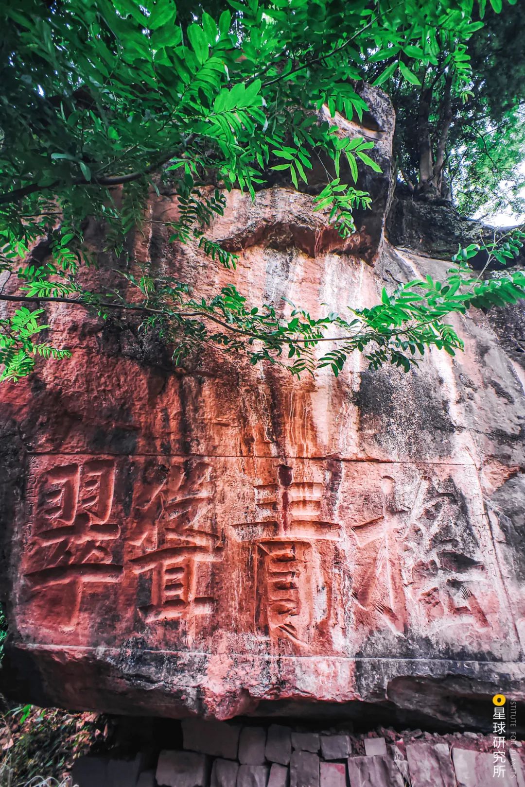 圖片