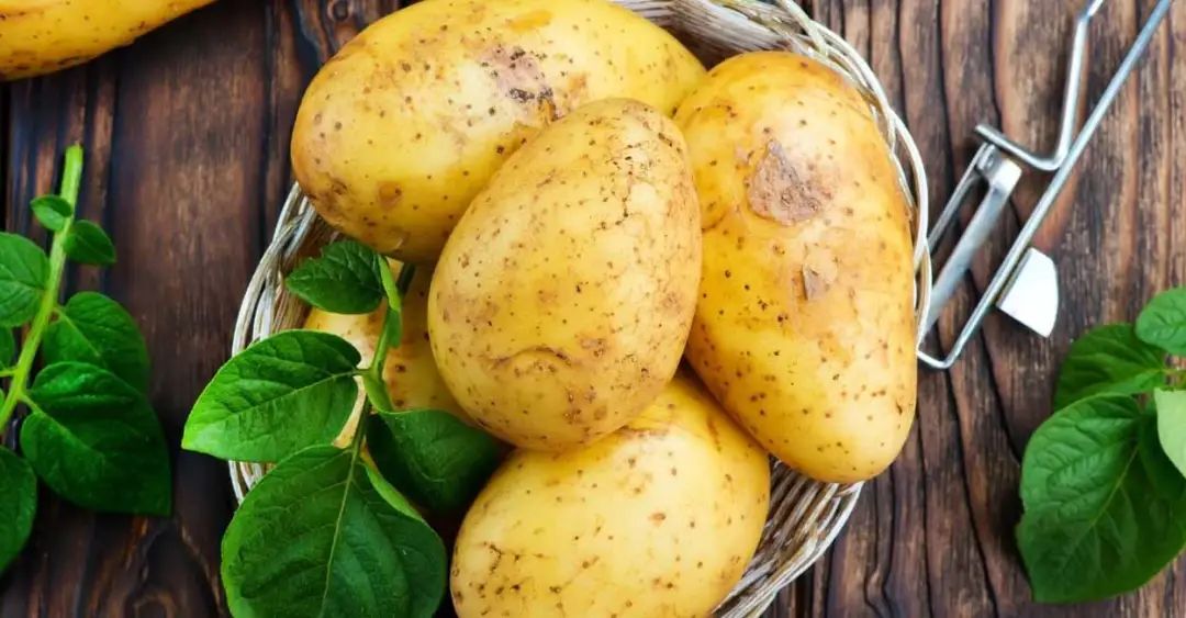 生活科普：醋溜土豆丝有慢消化淀粉？怎样吃土豆才不会让血糖飙升？